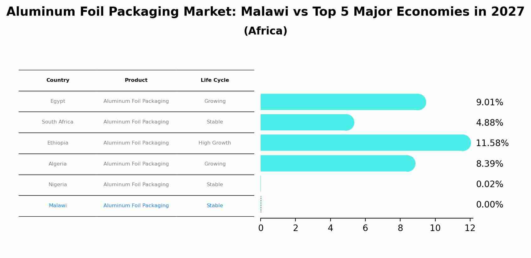 Aluminum Foil Packaging Market: Malawi vs Top 5 Major Economies in 2027 (Africa)