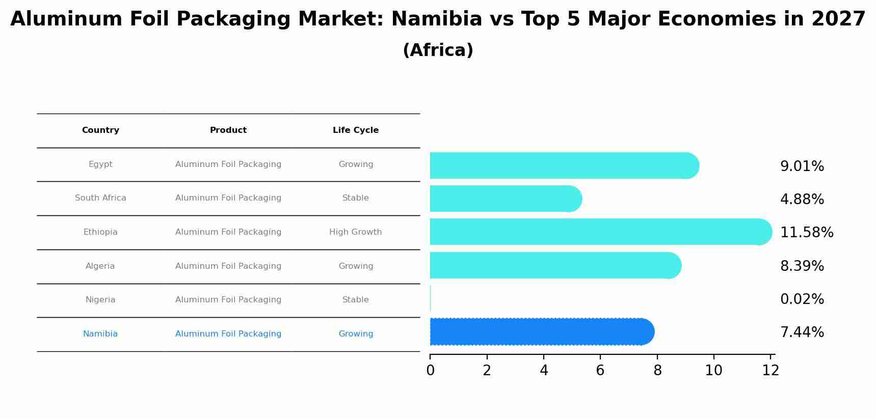 Aluminum Foil Packaging Market: Namibia vs Top 5 Major Economies in 2027 (Africa)