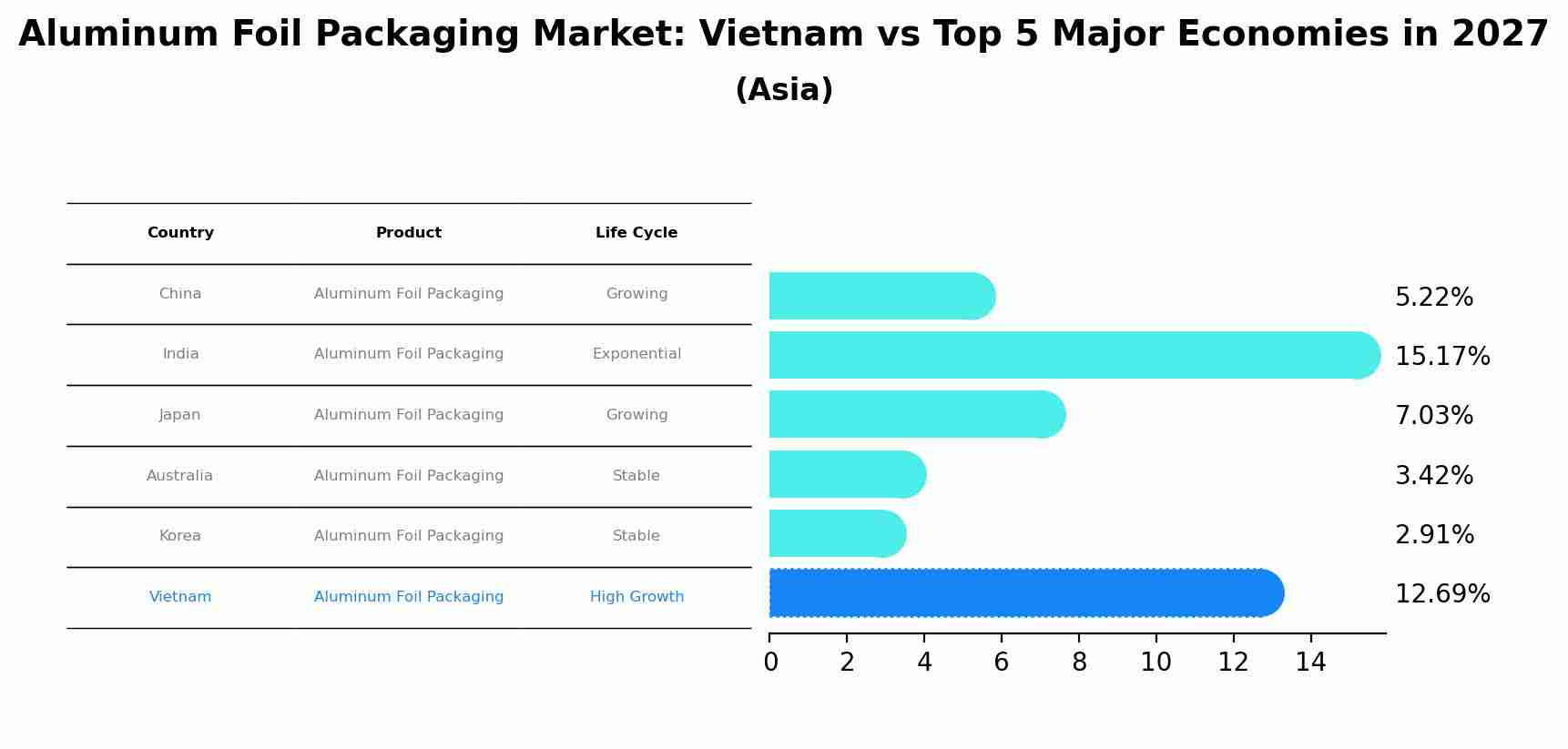 Aluminum Foil Packaging Market: Vietnam vs Top 5 Major Economies in 2027 (Asia)