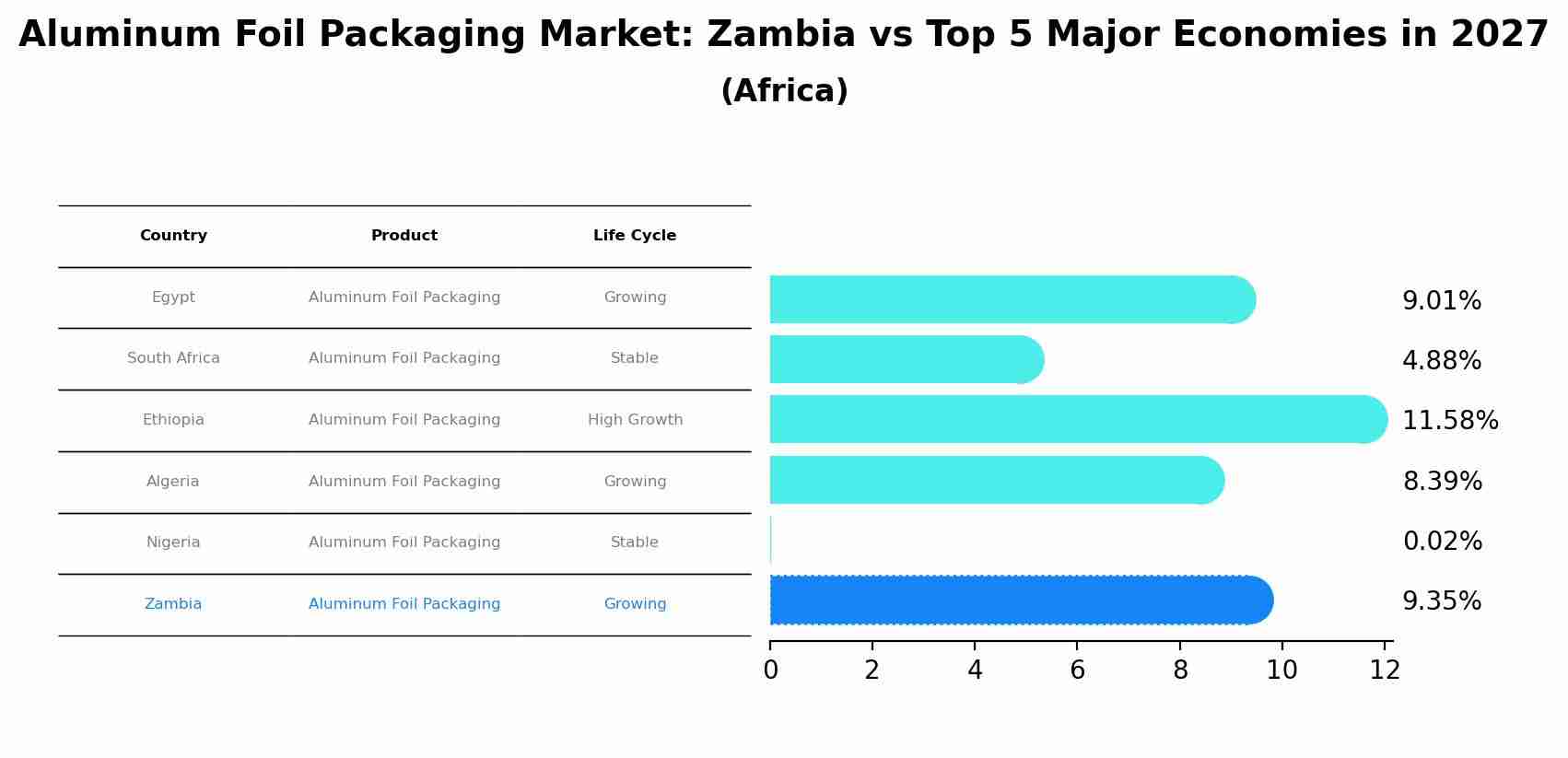 Aluminum Foil Packaging Market: Zambia vs Top 5 Major Economies in 2027 (Africa)