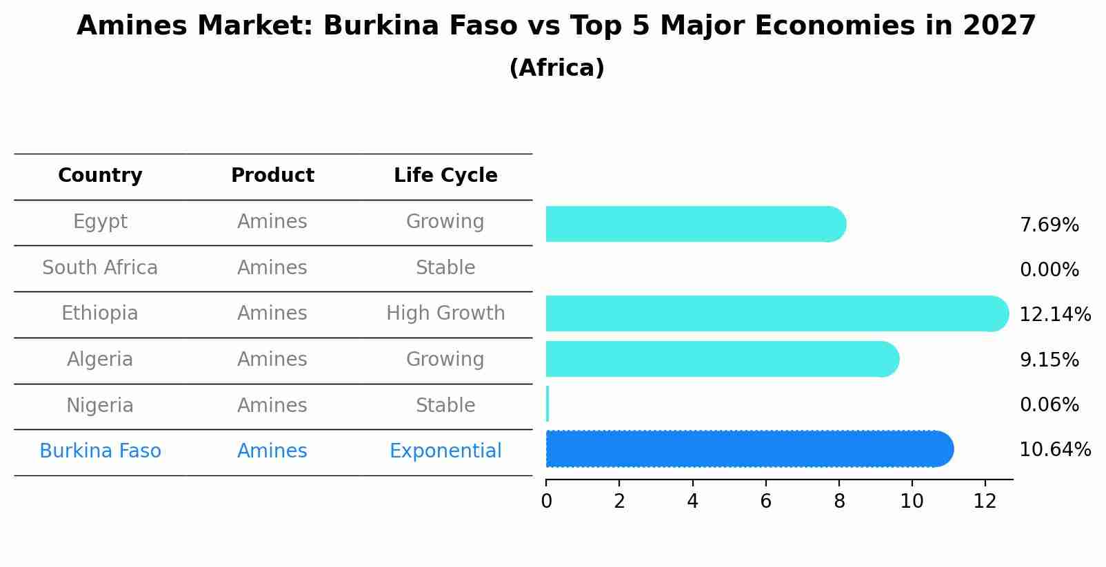 Amines Market: Burkina Faso vs Top 5 Major Economies in 2027 (Africa)