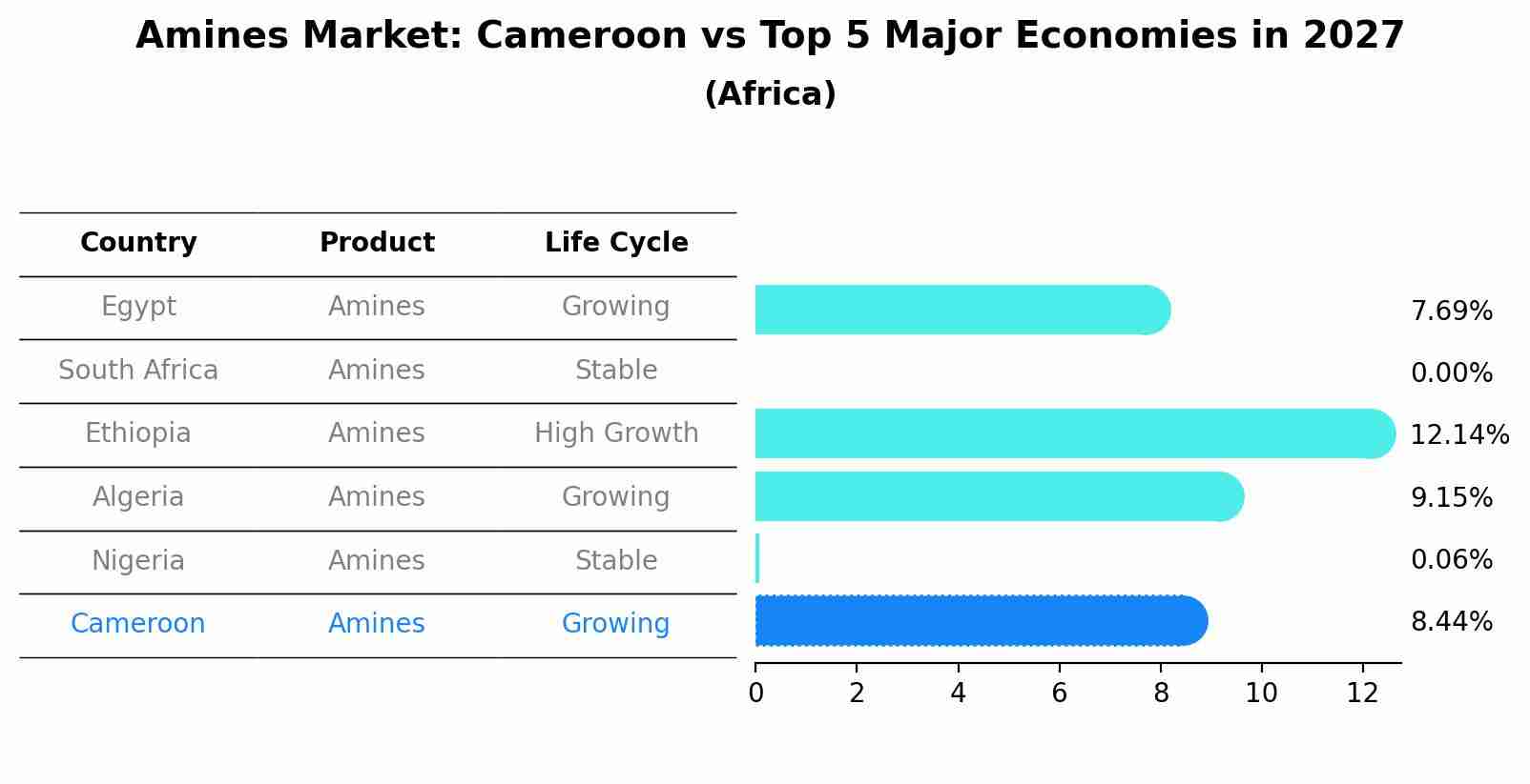 Amines Market: Cameroon vs Top 5 Major Economies in 2027 (Africa)