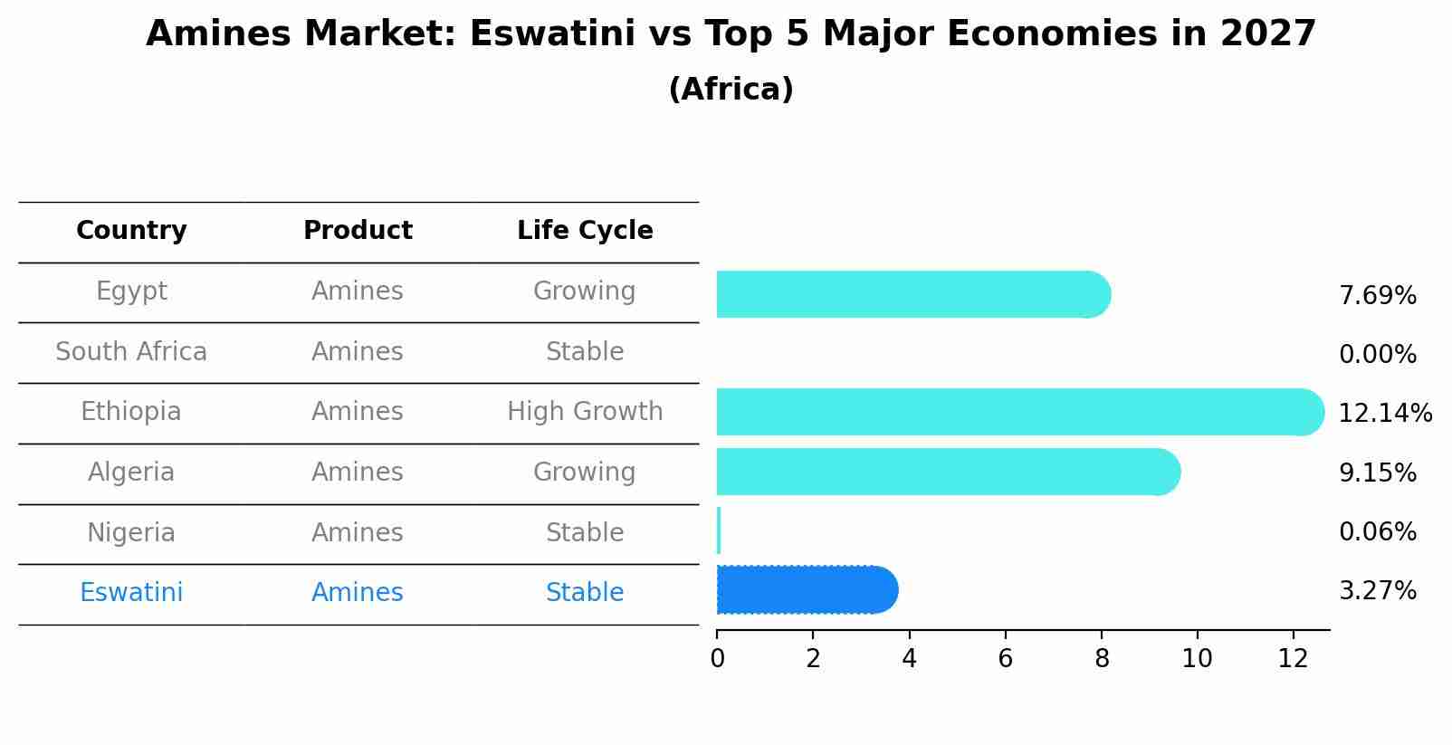 Amines Market: Eswatini vs Top 5 Major Economies in 2027 (Africa)