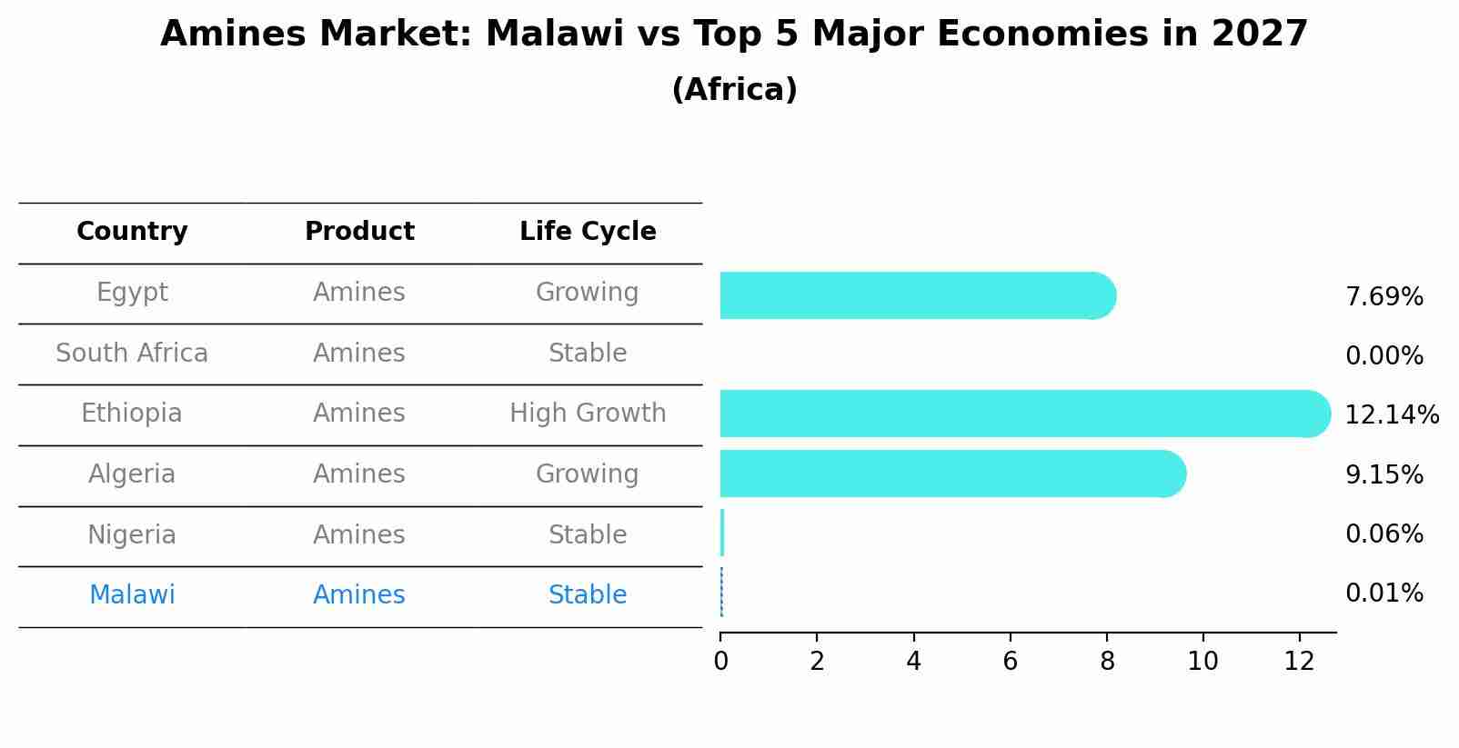 Amines Market: Malawi vs Top 5 Major Economies in 2027 (Africa)