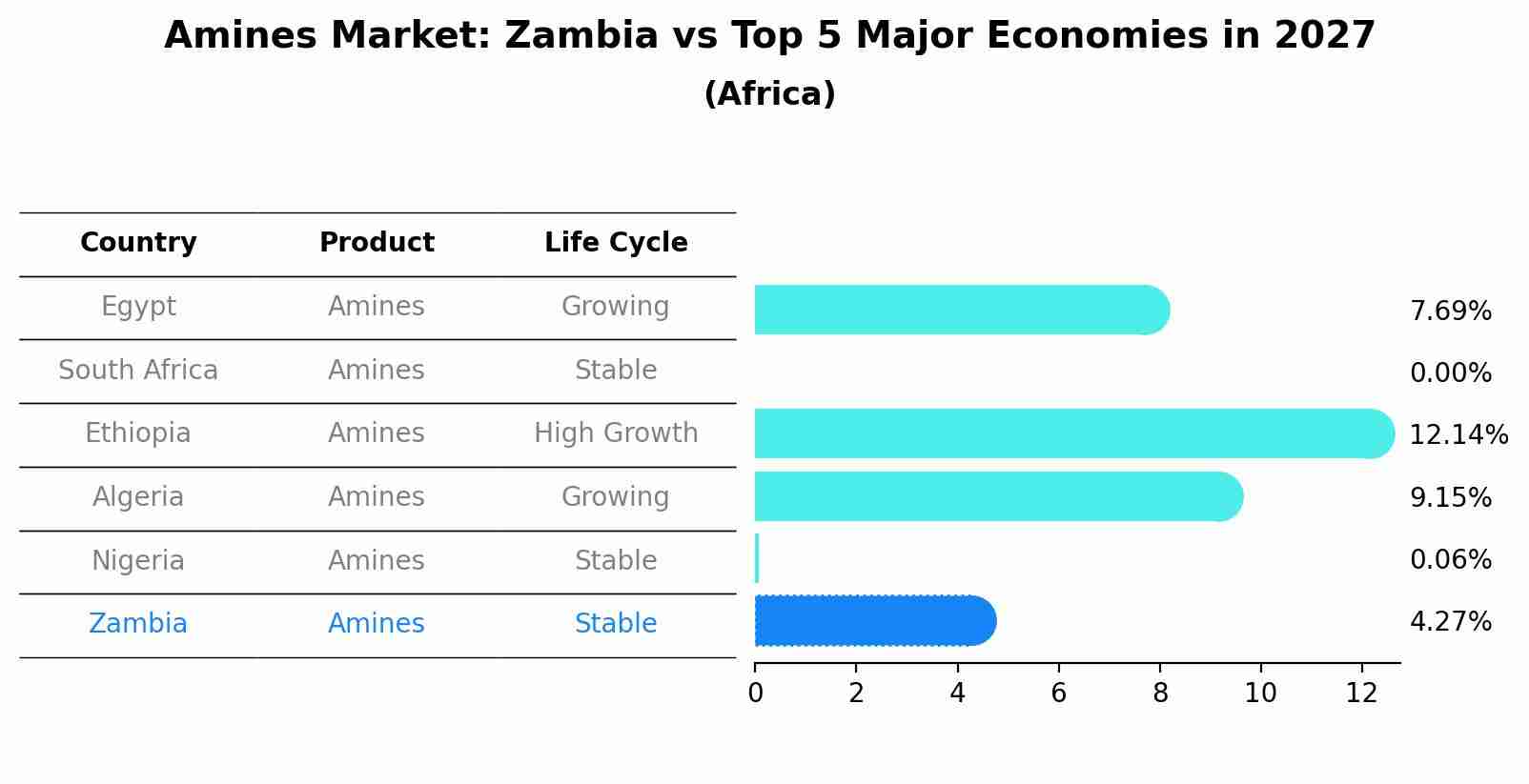 Amines Market: Zambia vs Top 5 Major Economies in 2027 (Africa)