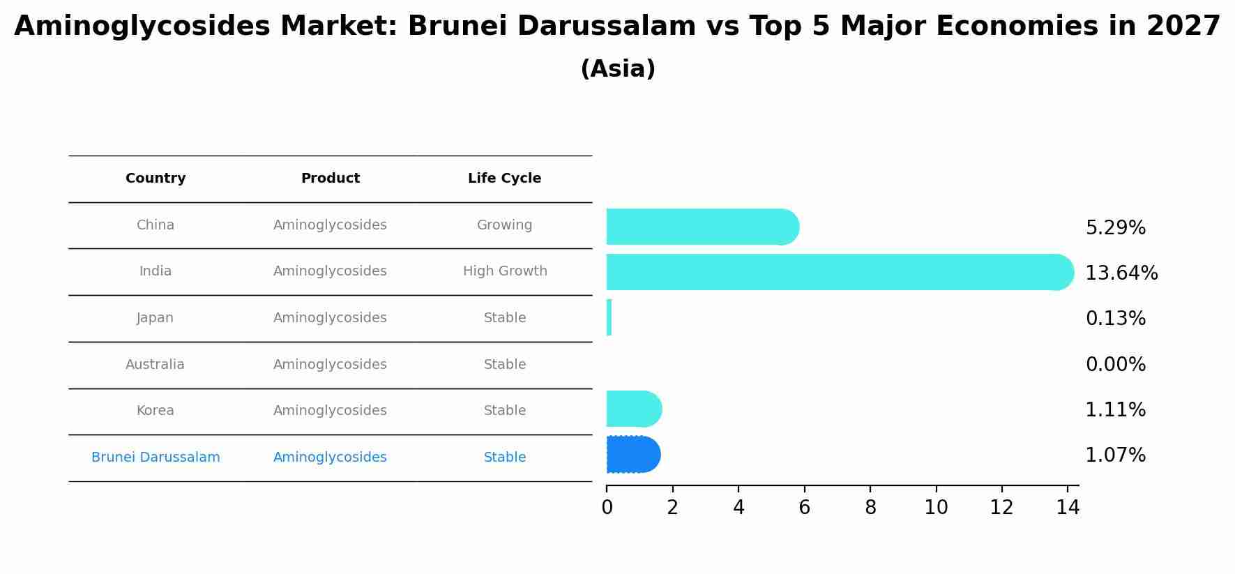 Aminoglycosides Market: Brunei Darussalam vs Top 5 Major Economies in 2027 (Asia)
