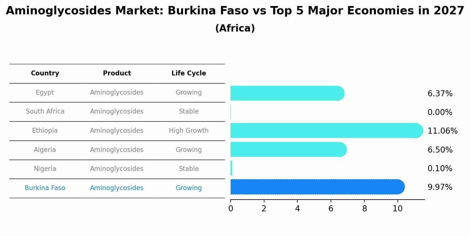 Aminoglycosides Market: Burkina Faso vs Top 5 Major Economies in 2027 (Africa)