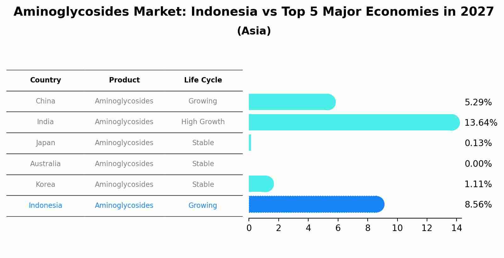 Aminoglycosides Market: Indonesia vs Top 5 Major Economies in 2027 (Asia)