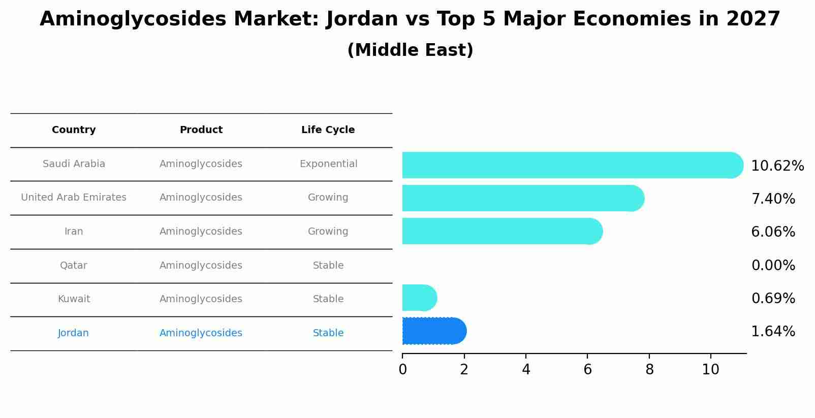 Aminoglycosides Market: Jordan vs Top 5 Major Economies in 2027 (Middle East)