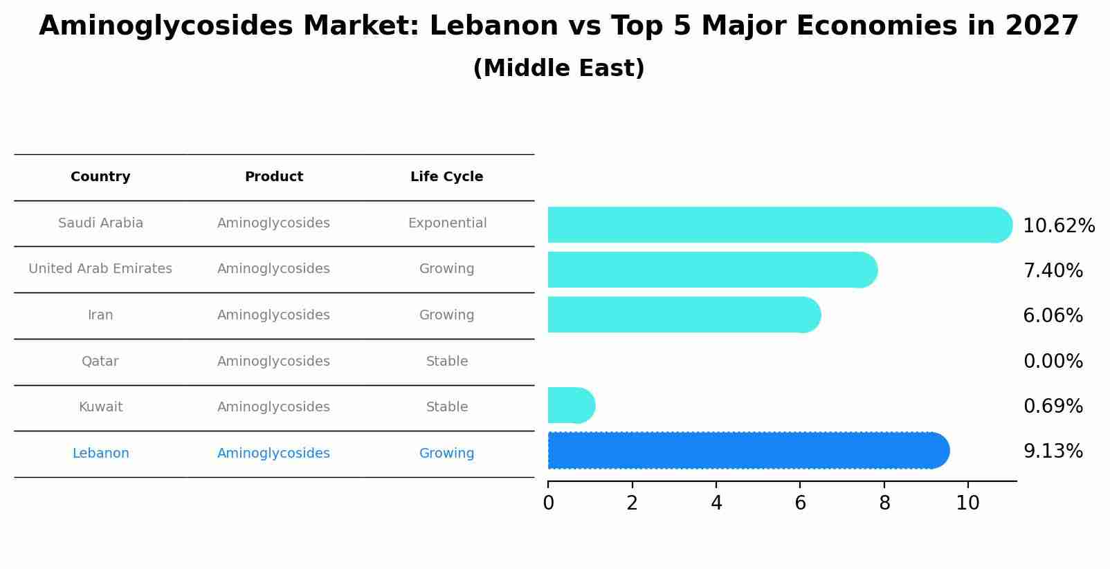 Aminoglycosides Market: Lebanon vs Top 5 Major Economies in 2027 (Middle East)
