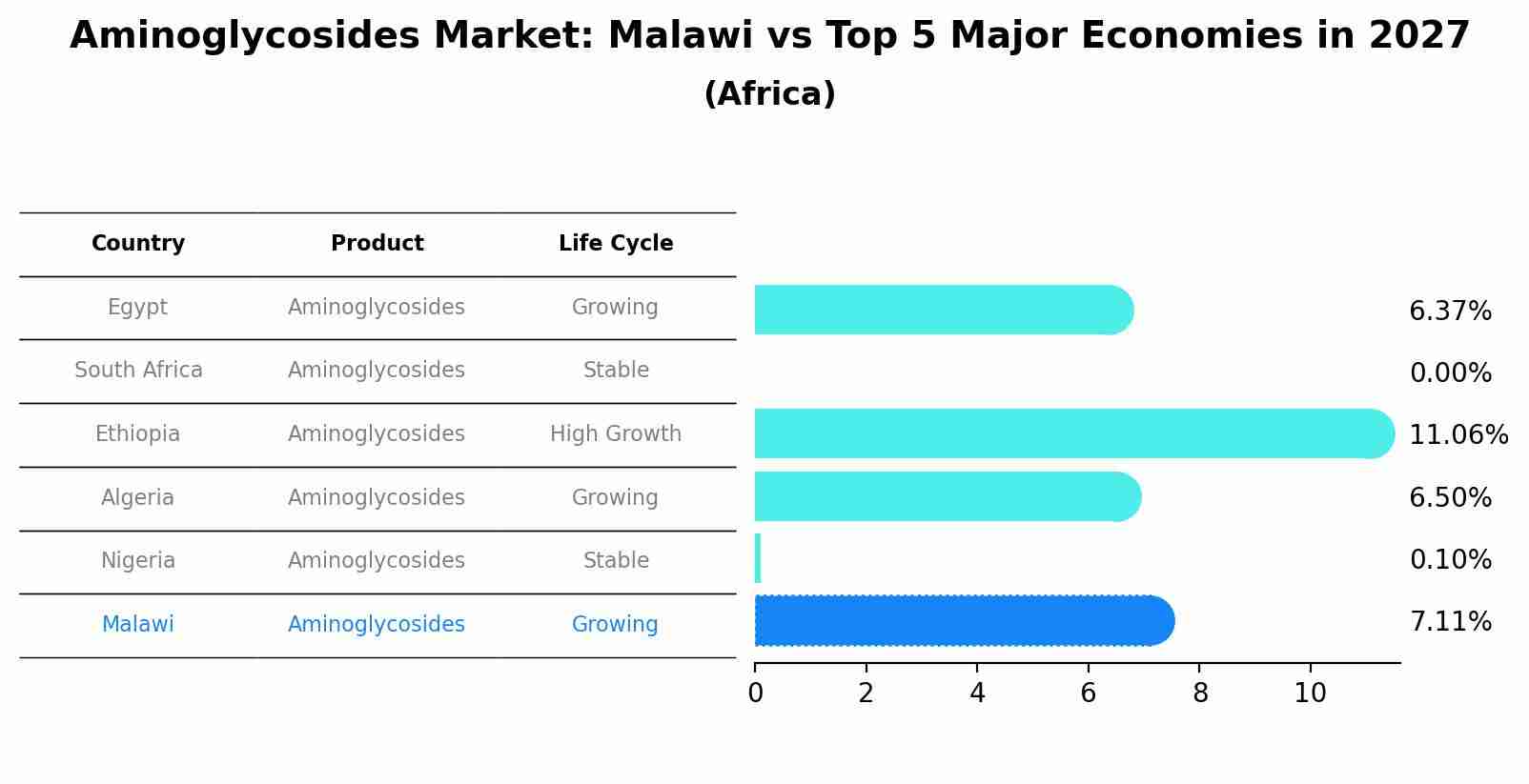Aminoglycosides Market: Malawi vs Top 5 Major Economies in 2027 (Africa)