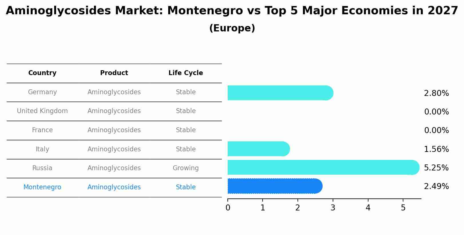 Aminoglycosides Market: Montenegro vs Top 5 Major Economies in 2027 (Europe)