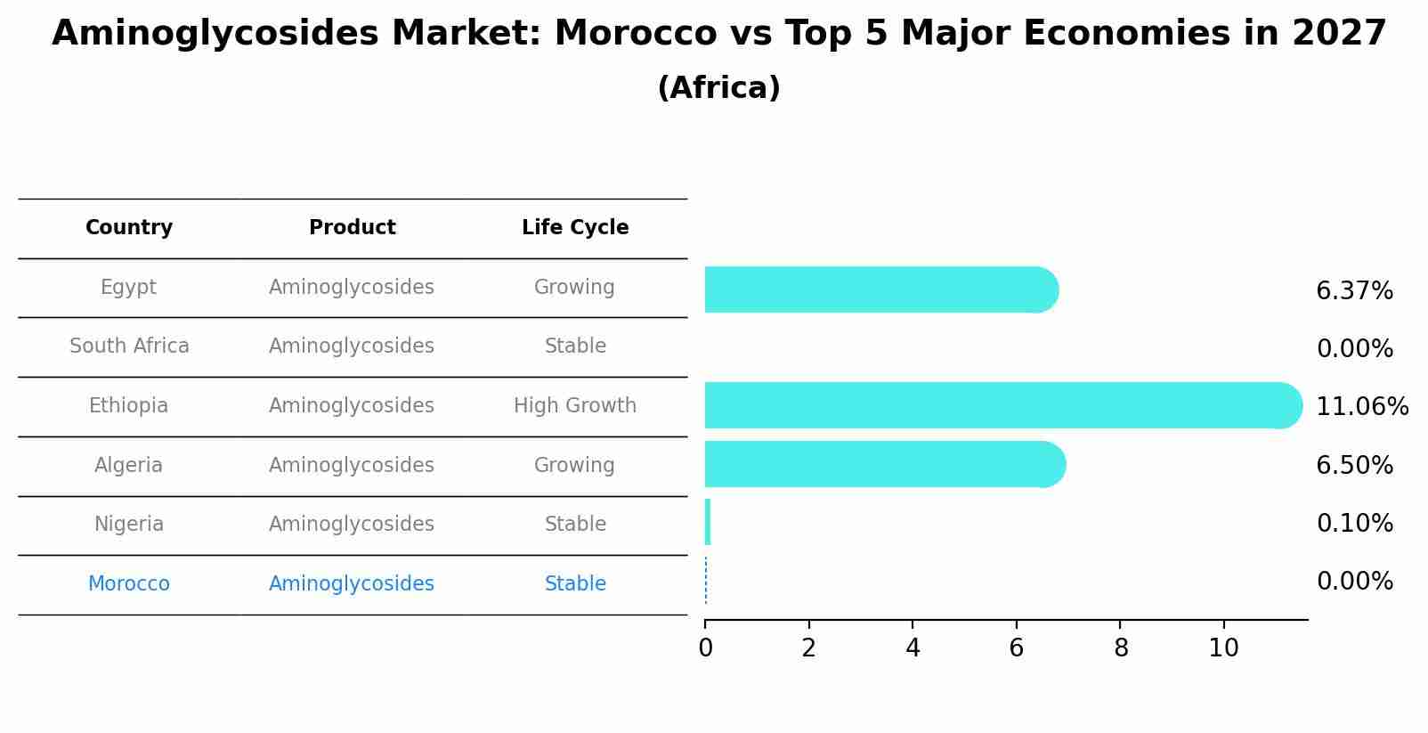 Aminoglycosides Market: Morocco vs Top 5 Major Economies in 2027 (Africa)