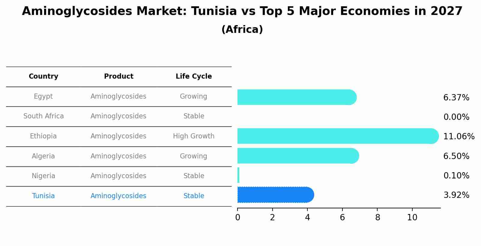 Aminoglycosides Market: Tunisia vs Top 5 Major Economies in 2027 (Africa)