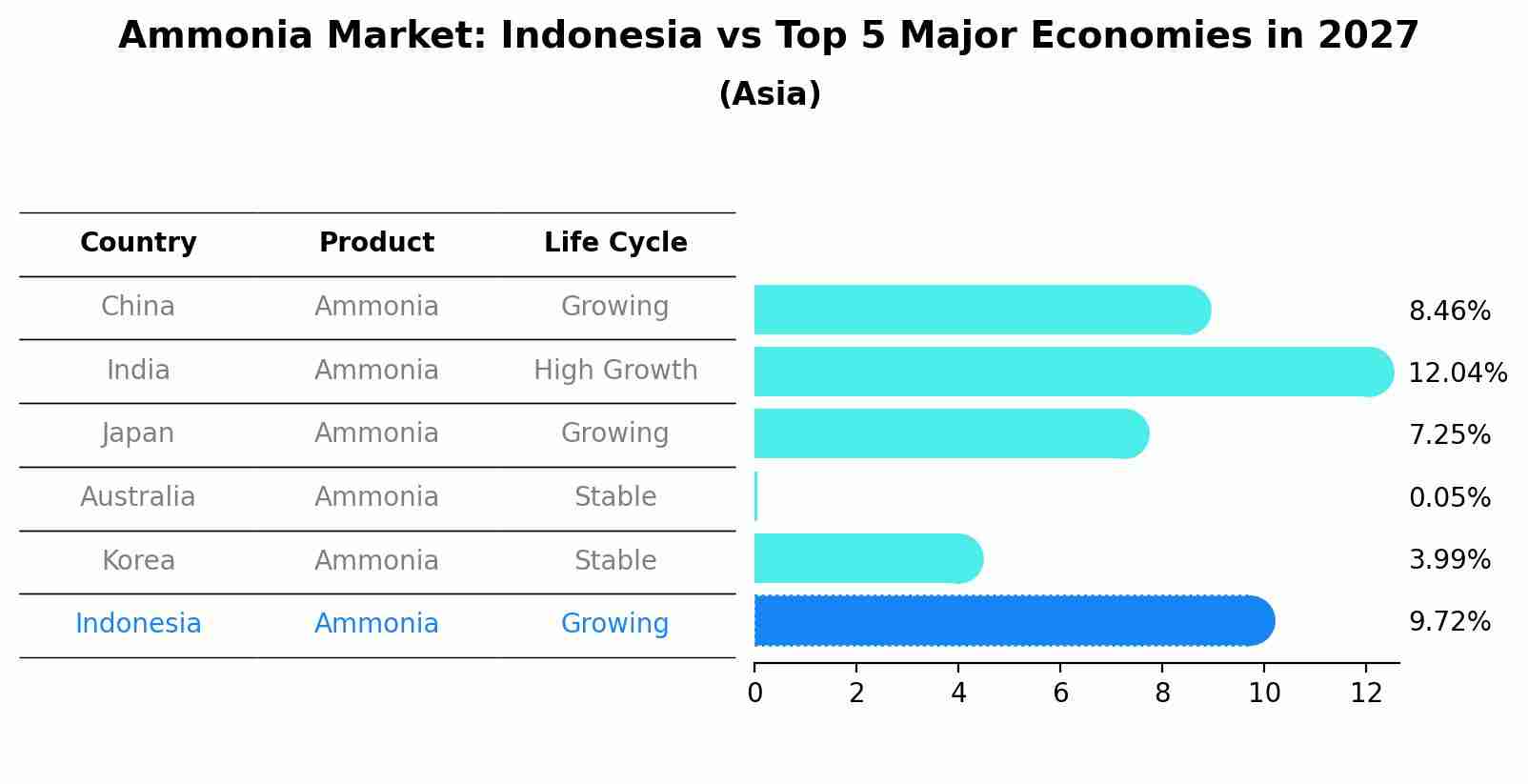 Ammonia Market: Indonesia vs Top 5 Major Economies in 2027 (Asia)