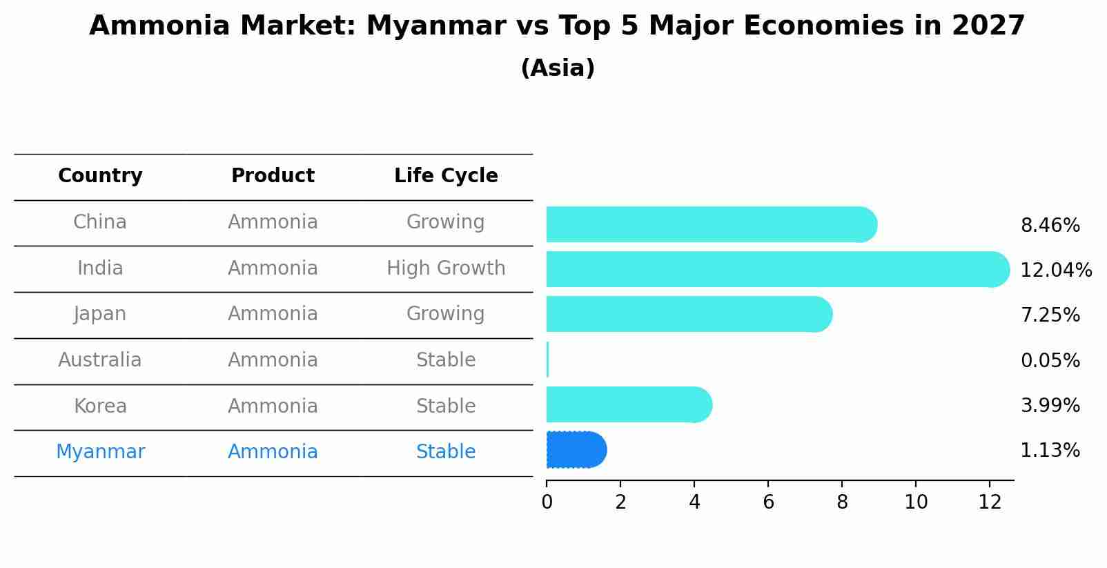 Ammonia Market: Myanmar vs Top 5 Major Economies in 2027 (Asia)