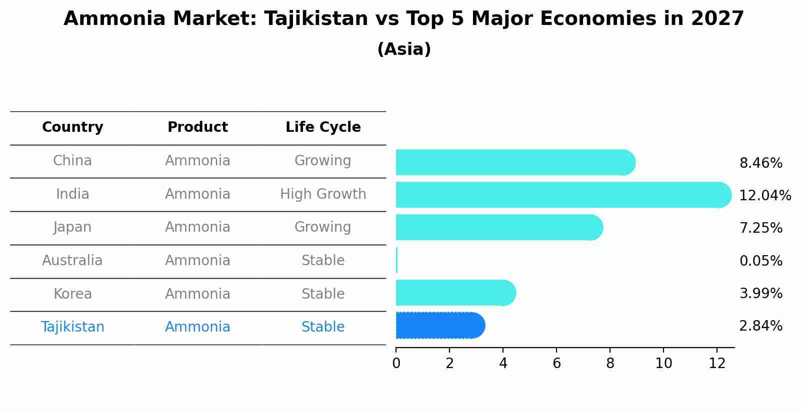 Ammonia Market: Tajikistan vs Top 5 Major Economies in 2027 (Asia)