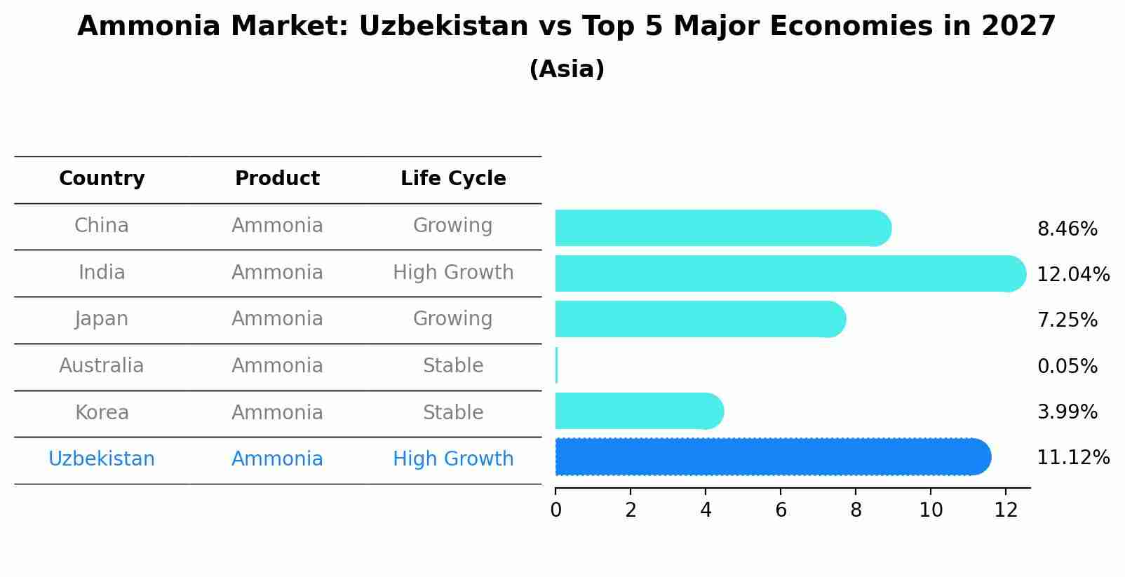 Ammonia Market: Uzbekistan vs Top 5 Major Economies in 2027 (Asia)