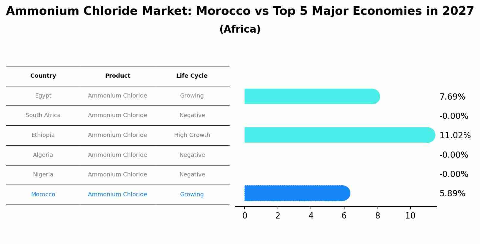 Ammonium Chloride Market: Morocco vs Top 5 Major Economies in 2027 (Africa)