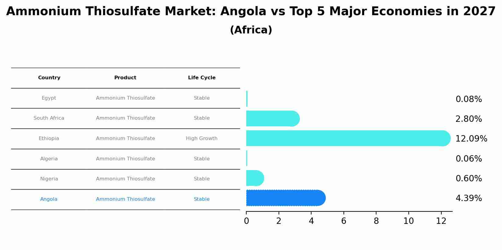 Ammonium Thiosulfate Market: Angola vs Top 5 Major Economies in 2027 (Africa)