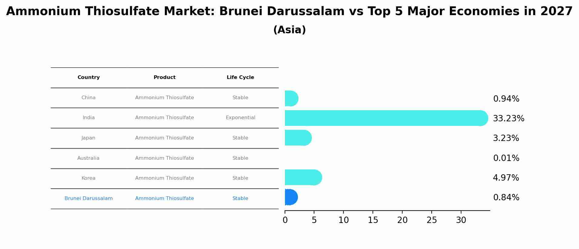 Ammonium Thiosulfate Market: Brunei Darussalam vs Top 5 Major Economies in 2027 (Asia)