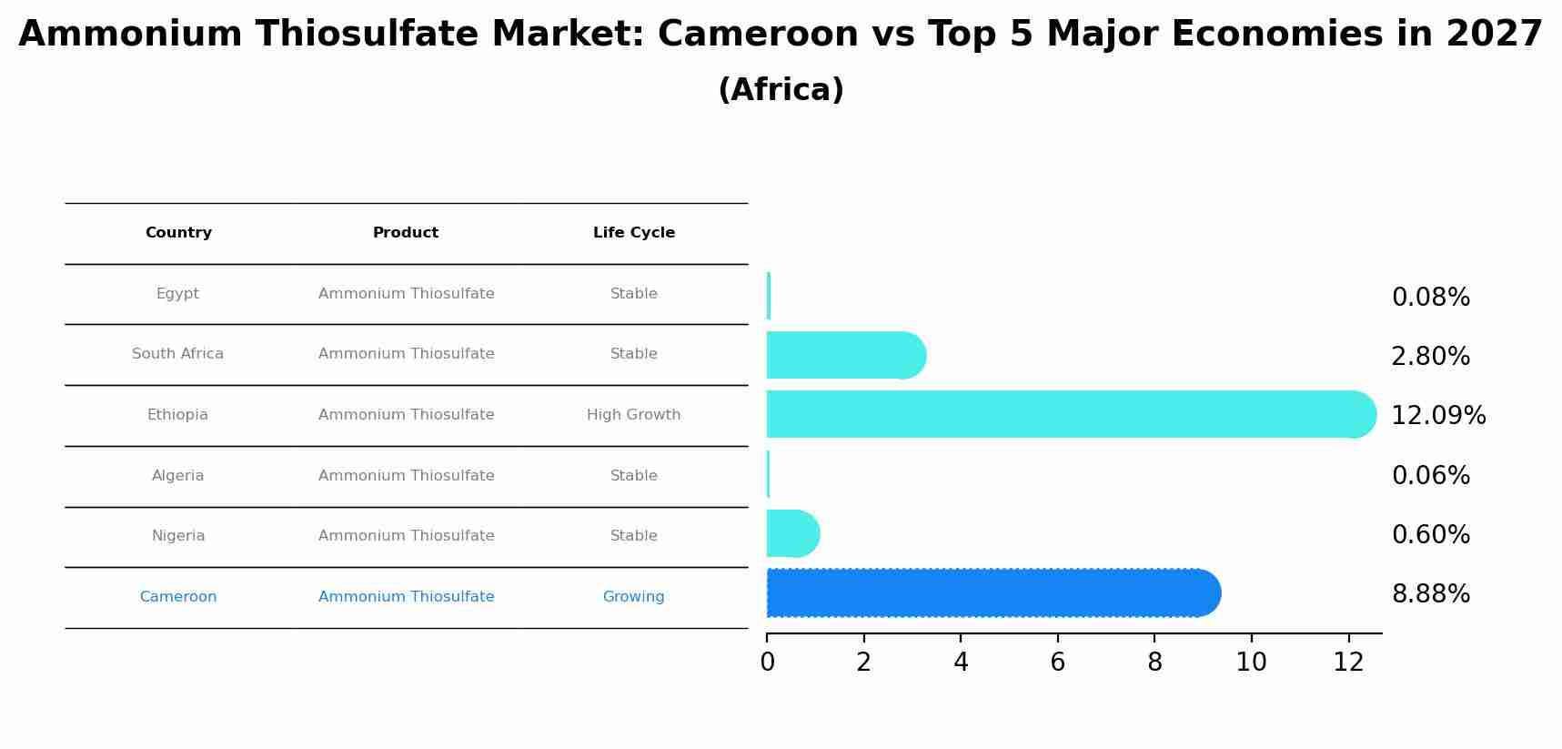 Ammonium Thiosulfate Market: Cameroon vs Top 5 Major Economies in 2027 (Africa)