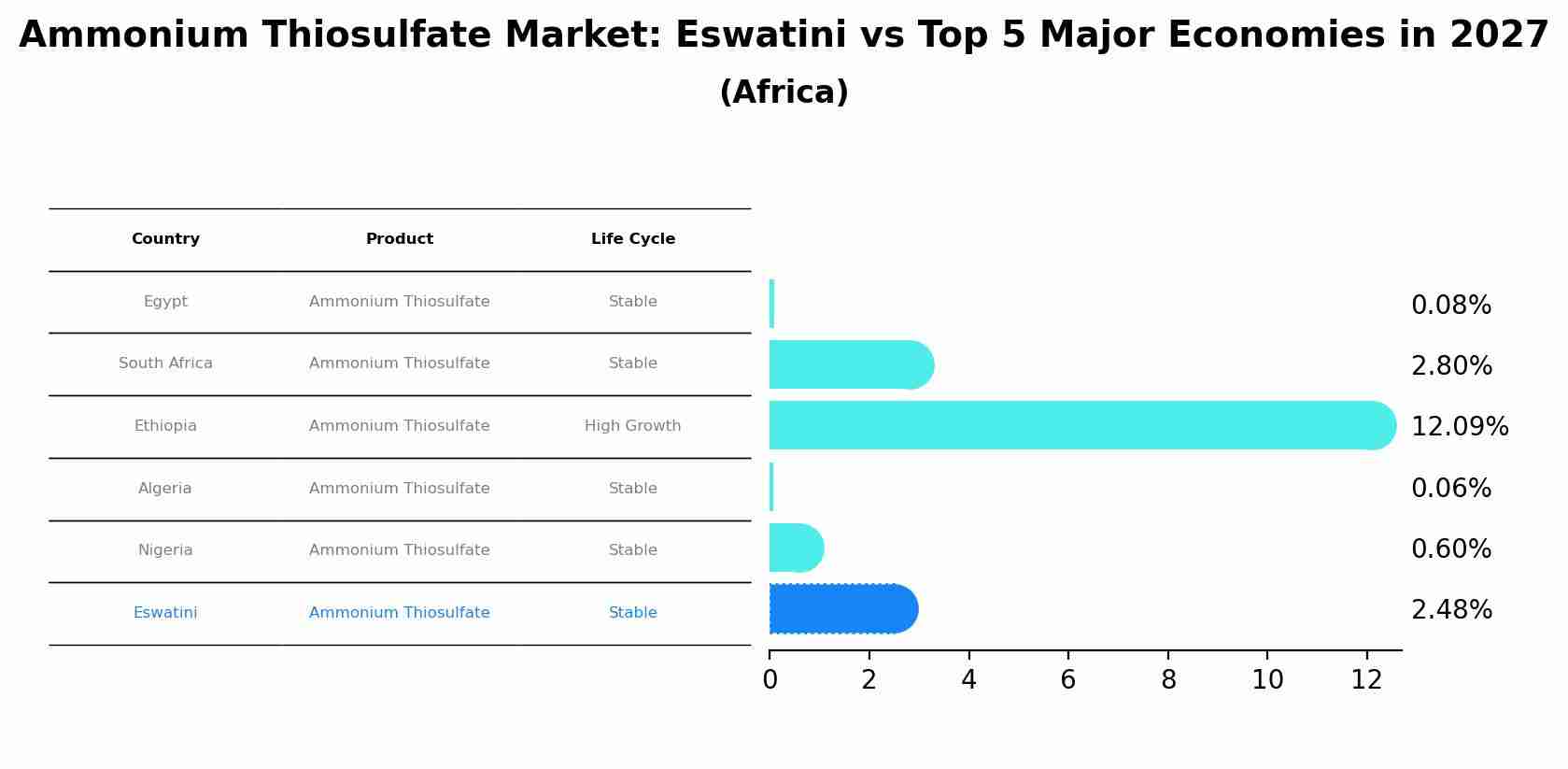 Ammonium Thiosulfate Market: Eswatini vs Top 5 Major Economies in 2027 (Africa)