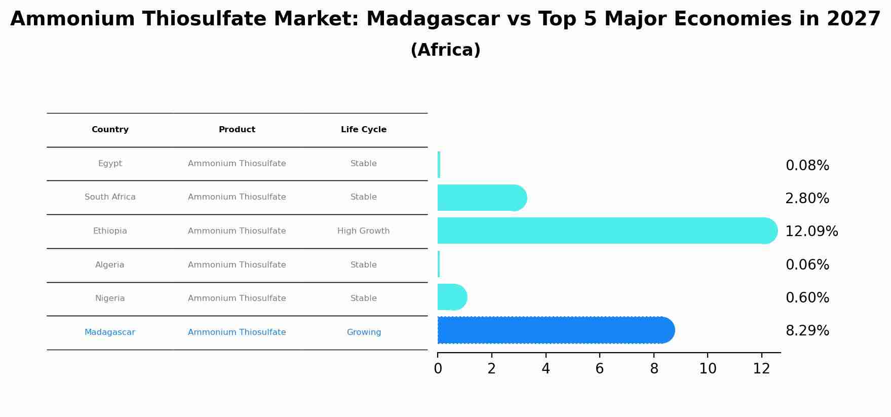 Ammonium Thiosulfate Market: Madagascar vs Top 5 Major Economies in 2027 (Africa)