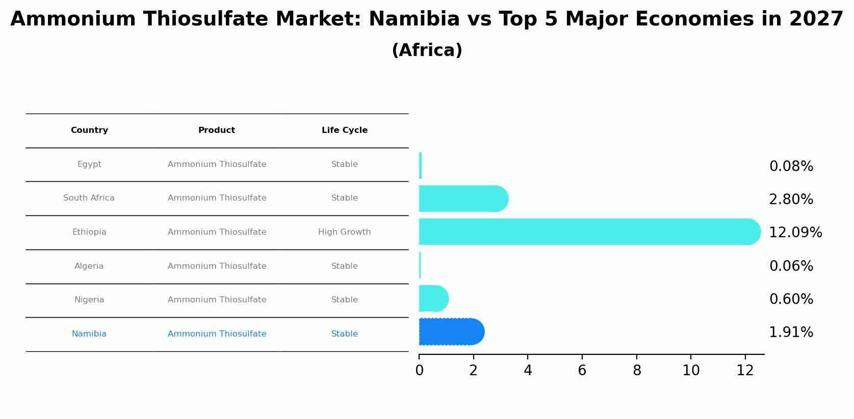 Ammonium Thiosulfate Market: Namibia vs Top 5 Major Economies in 2027 (Africa)