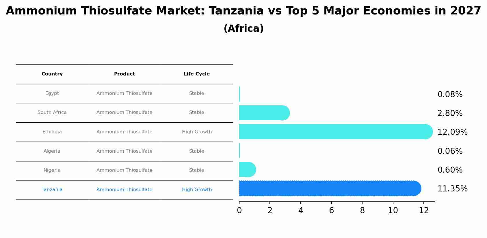 Ammonium Thiosulfate Market: Tanzania vs Top 5 Major Economies in 2027 (Africa)