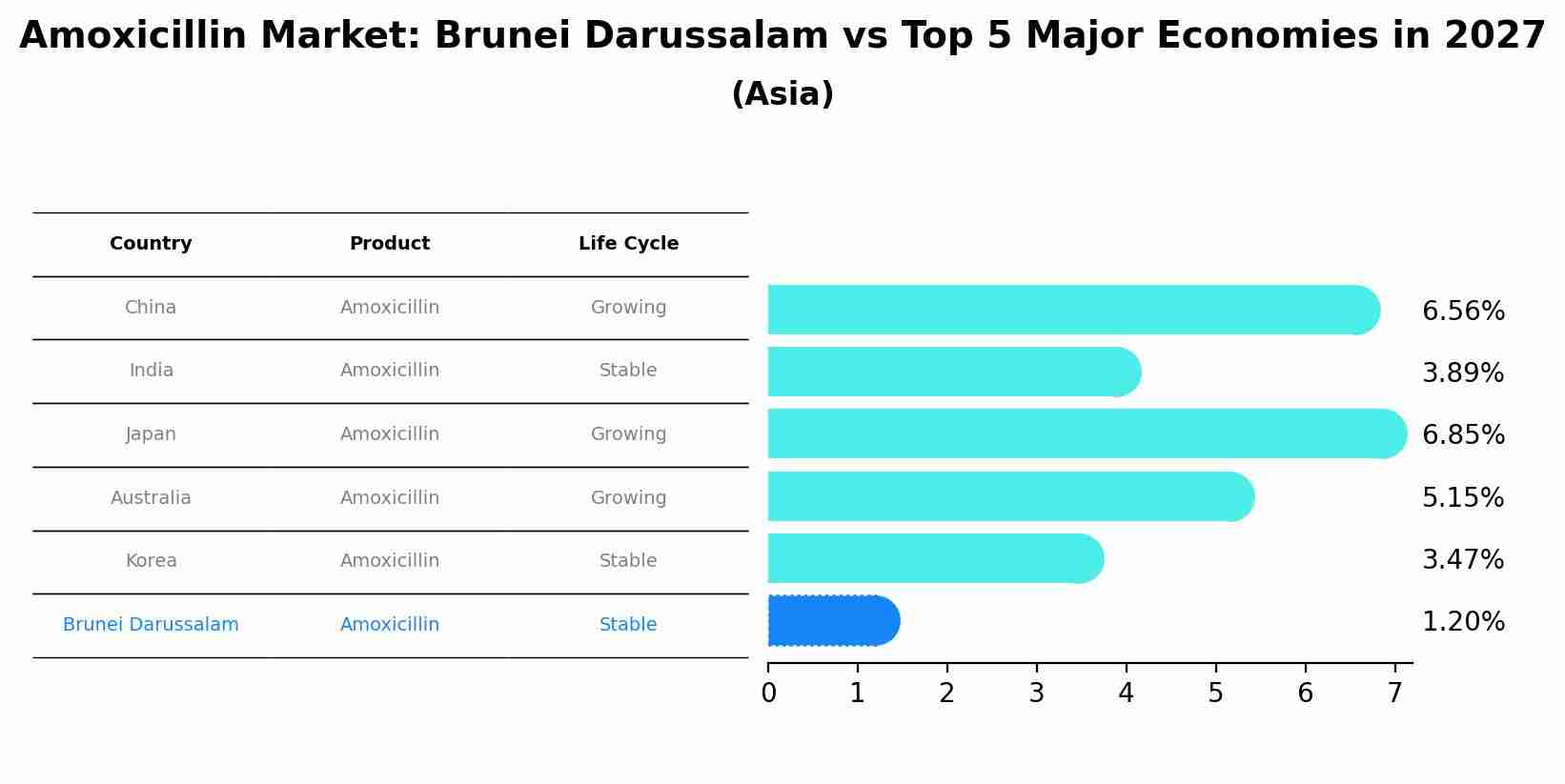 Amoxicillin Market: Brunei Darussalam vs Top 5 Major Economies in 2027 (Asia)