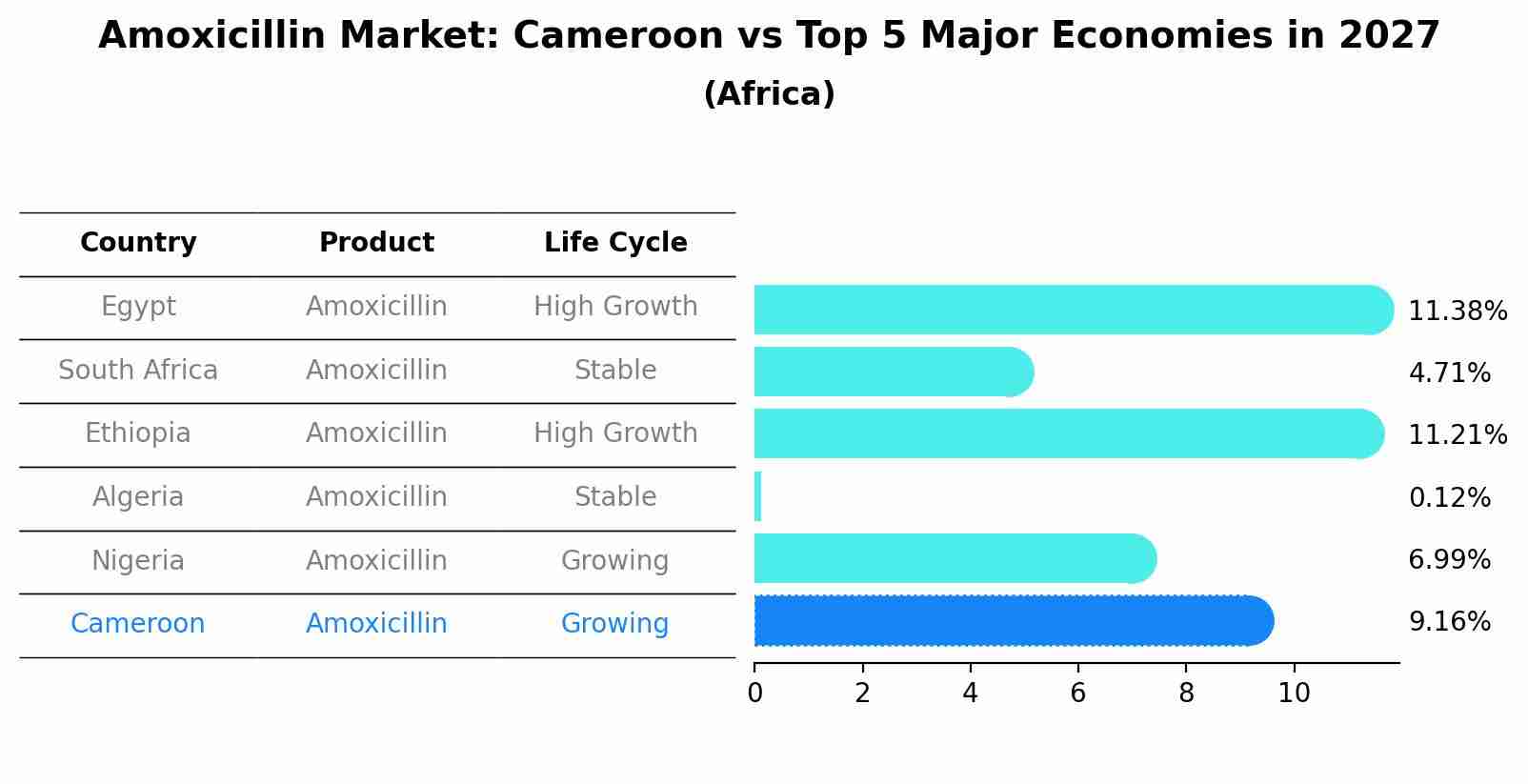 Amoxicillin Market: Cameroon vs Top 5 Major Economies in 2027 (Africa)