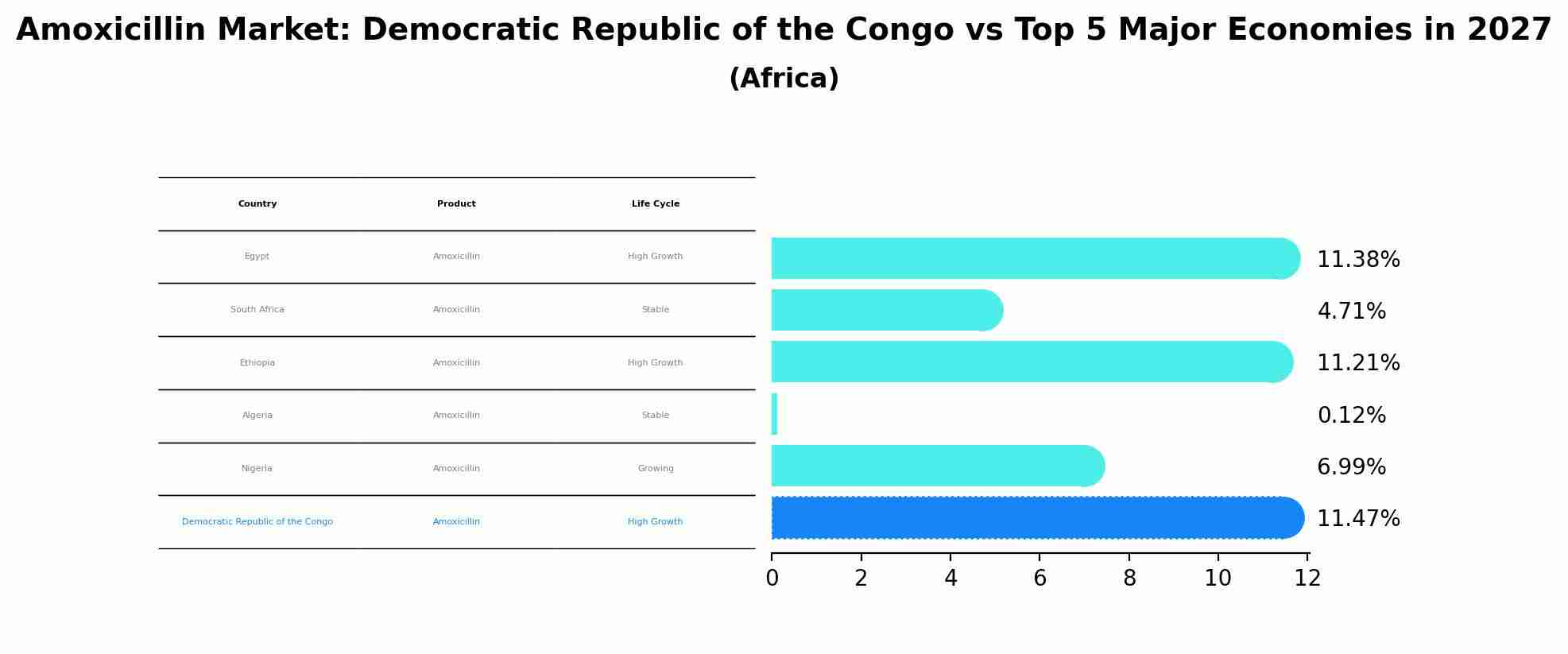 Amoxicillin Market: Democratic Republic of the Congo vs Top 5 Major Economies in 2027 (Africa)