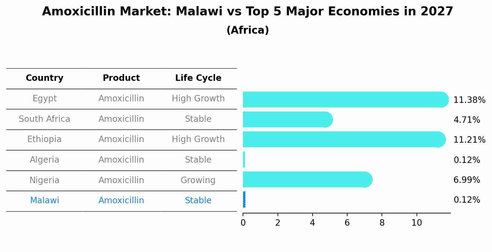 Amoxicillin Market: Malawi vs Top 5 Major Economies in 2027 (Africa)