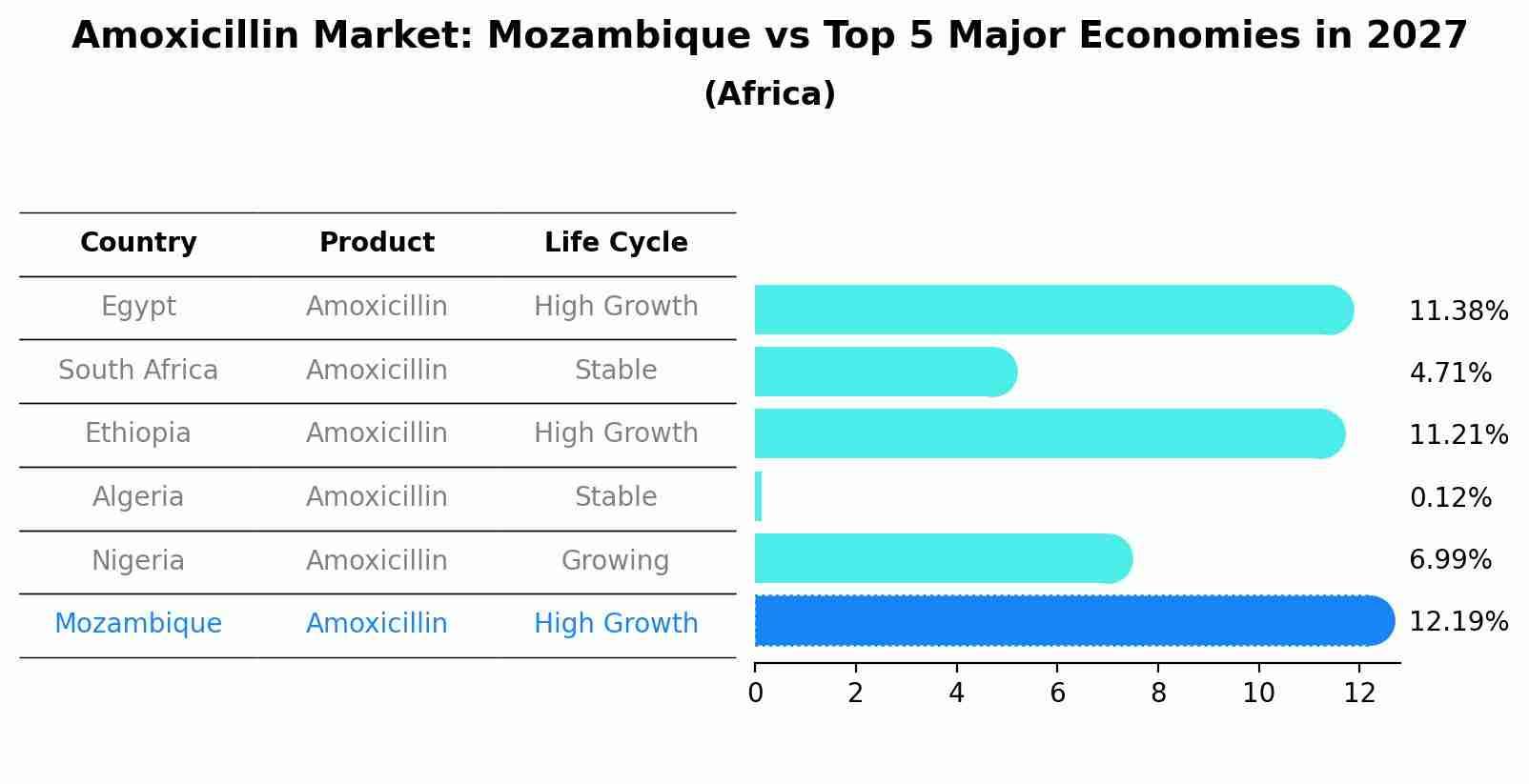 Amoxicillin Market: Mozambique vs Top 5 Major Economies in 2027 (Africa)