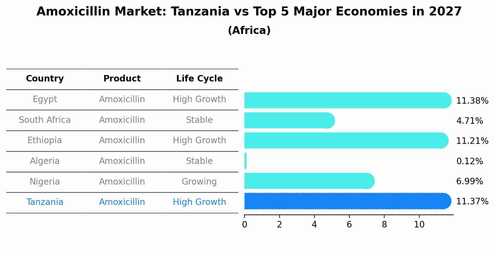 Amoxicillin Market: Tanzania vs Top 5 Major Economies in 2027 (Africa)