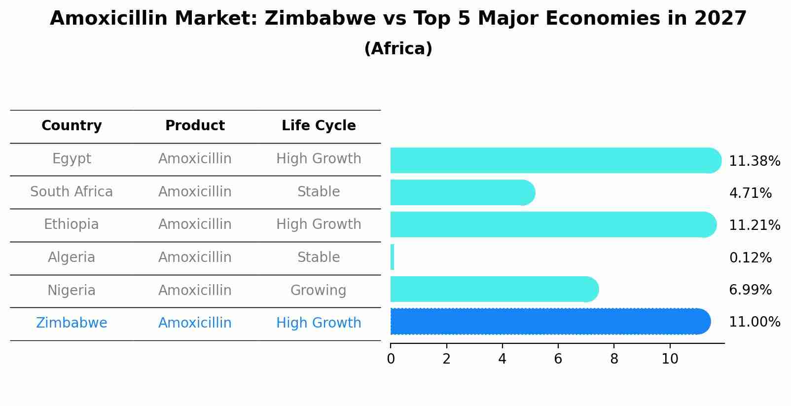 Amoxicillin Market: Zimbabwe vs Top 5 Major Economies in 2027 (Africa)
