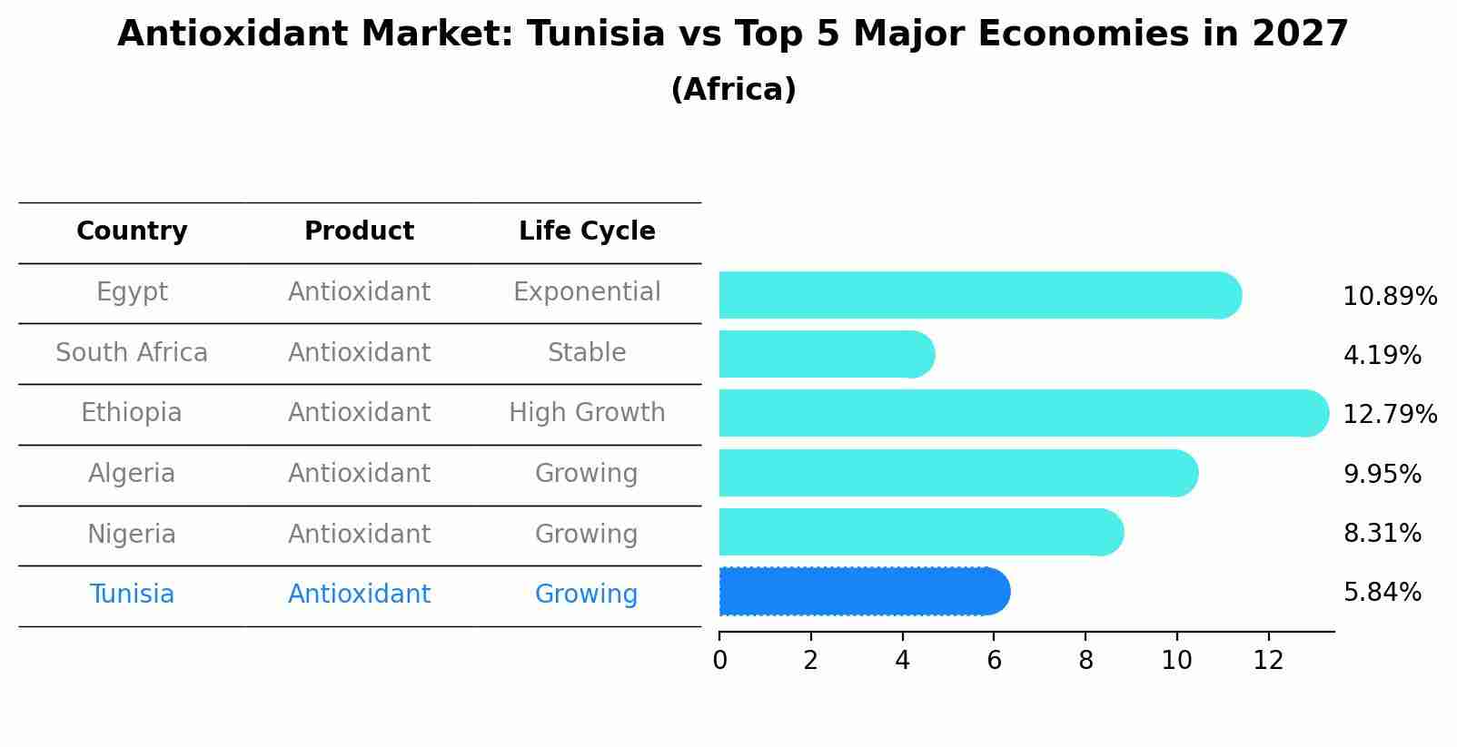 Antioxidant Market: Tunisia vs Top 5 Major Economies in 2027 (Africa)