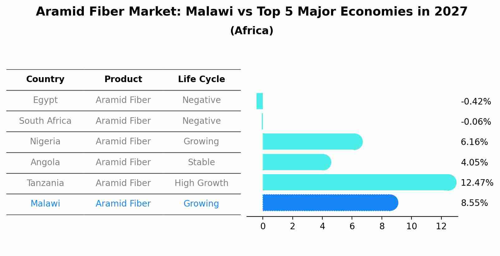 Aramid Fiber Market: Malawi vs Top 5 Major Economies in 2027 (Africa)