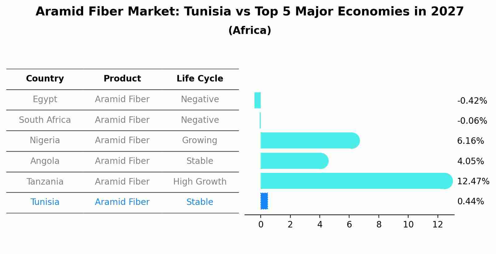 Aramid Fiber Market: Tunisia vs Top 5 Major Economies in 2027 (Africa)
