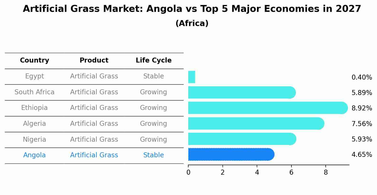 Artificial Grass Market: Angola vs Top 5 Major Economies in 2027 (Africa)