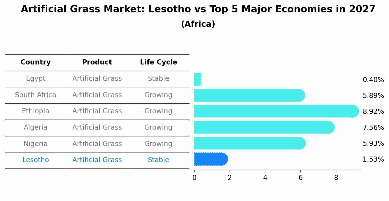 Artificial Grass Market: Lesotho vs Top 5 Major Economies in 2027 (Africa)
