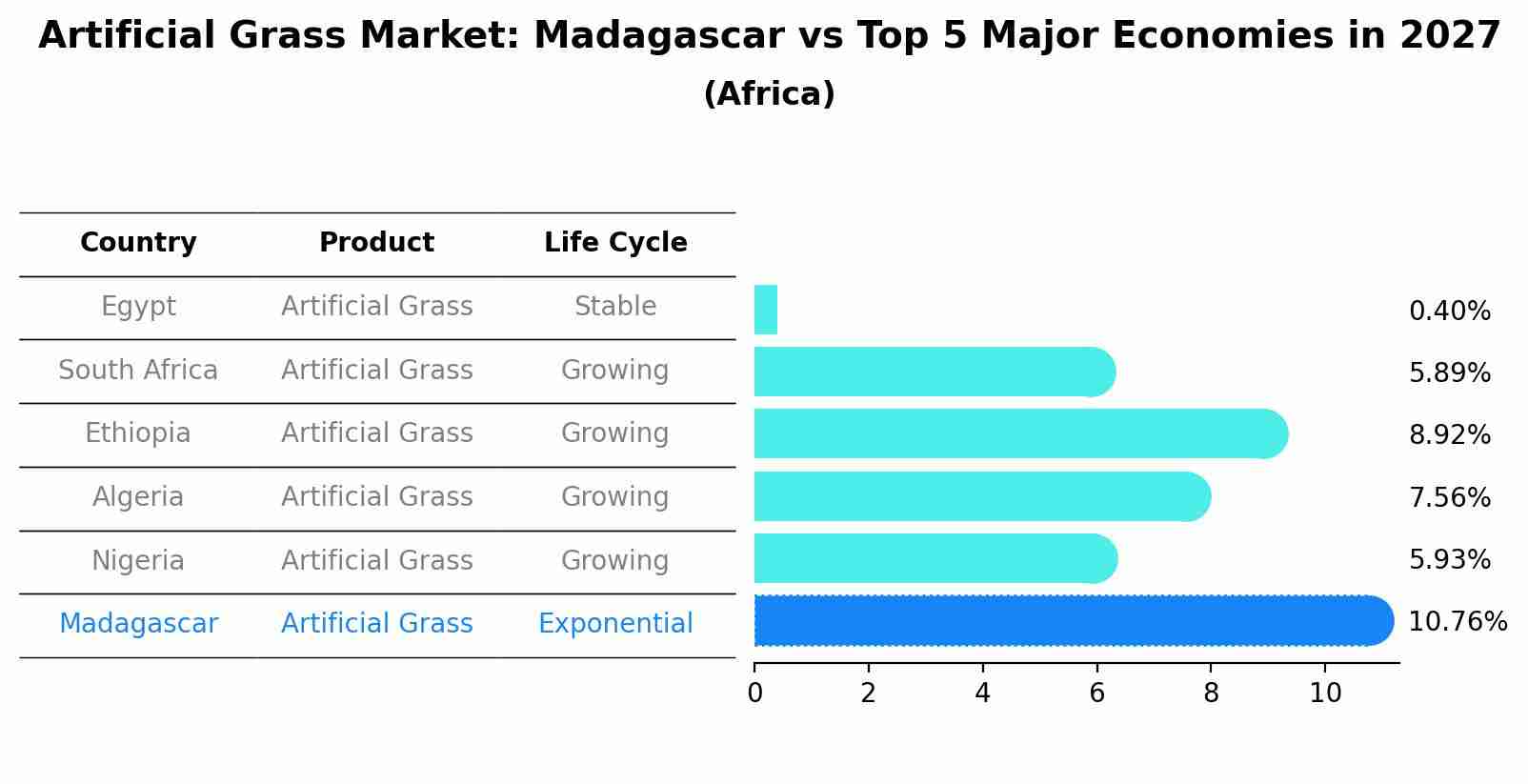 Artificial Grass Market: Madagascar vs Top 5 Major Economies in 2027 (Africa)