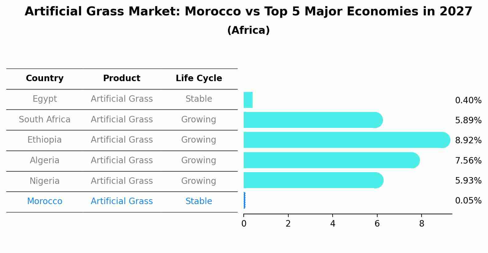 Artificial Grass Market: Morocco vs Top 5 Major Economies in 2027 (Africa)