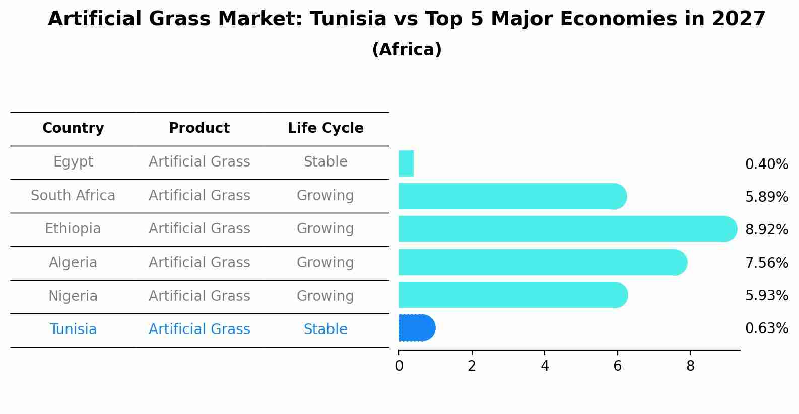 Artificial Grass Market: Tunisia vs Top 5 Major Economies in 2027 (Africa)