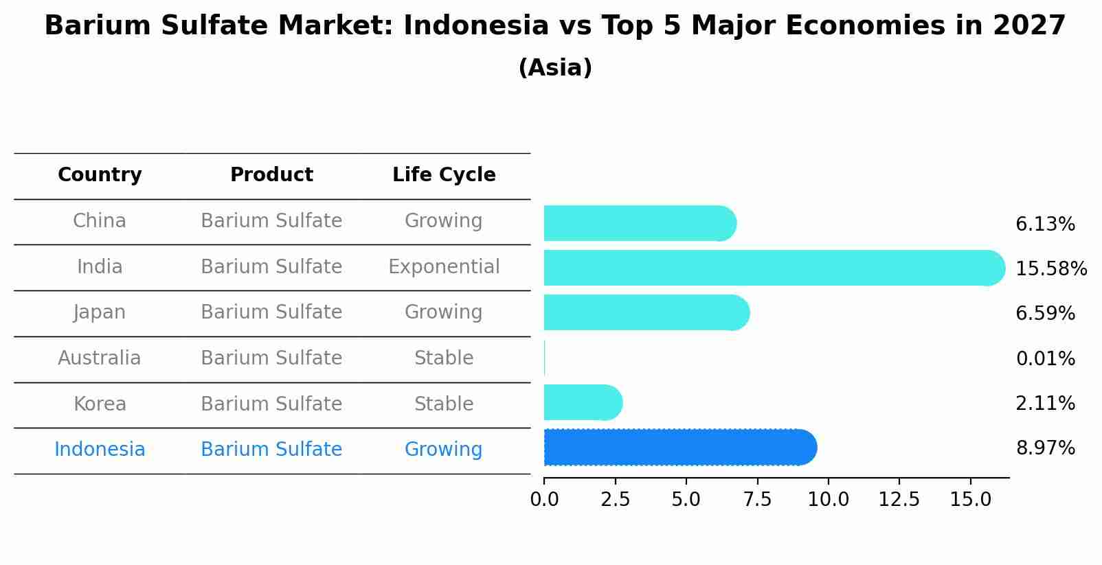 Barium Sulfate Market: Indonesia vs Top 5 Major Economies in 2027 (Asia)
