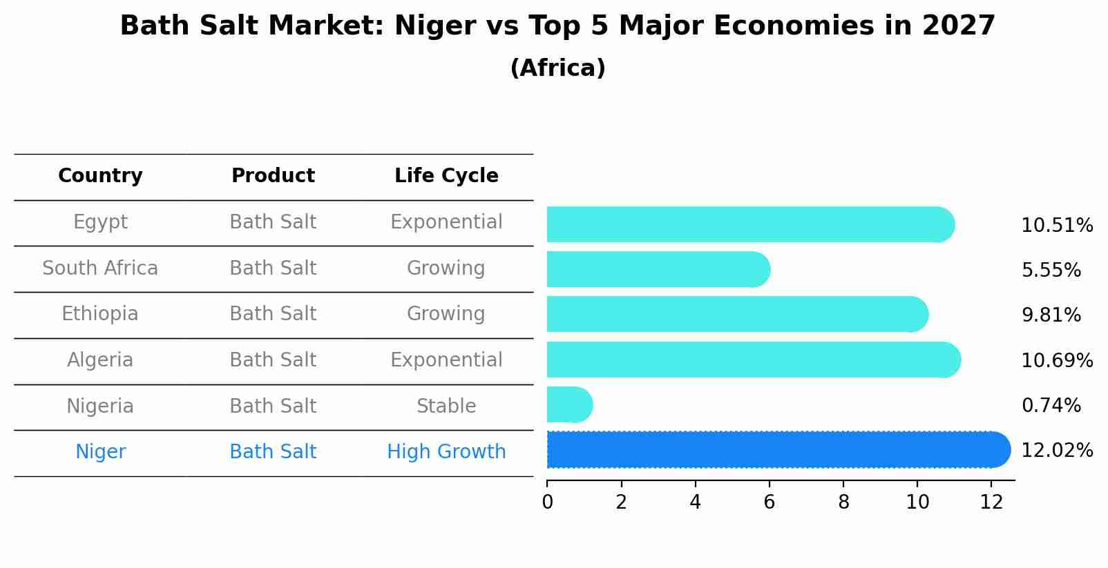 Bath Salt Market: Niger vs Top 5 Major Economies in 2027 (Africa)