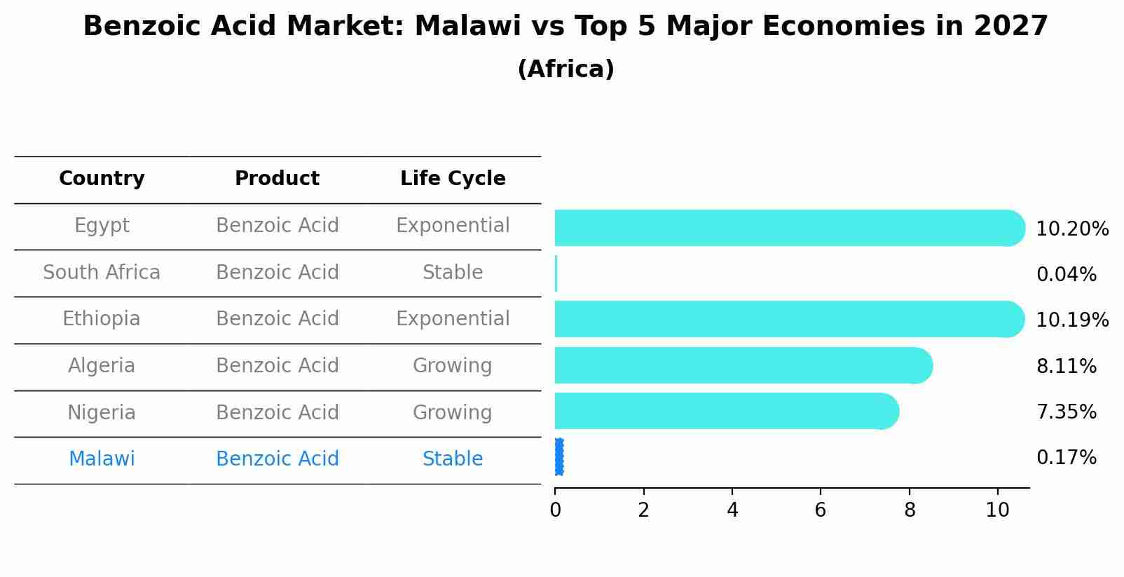 Benzoic Acid Market: Malawi vs Top 5 Major Economies in 2027 (Africa)