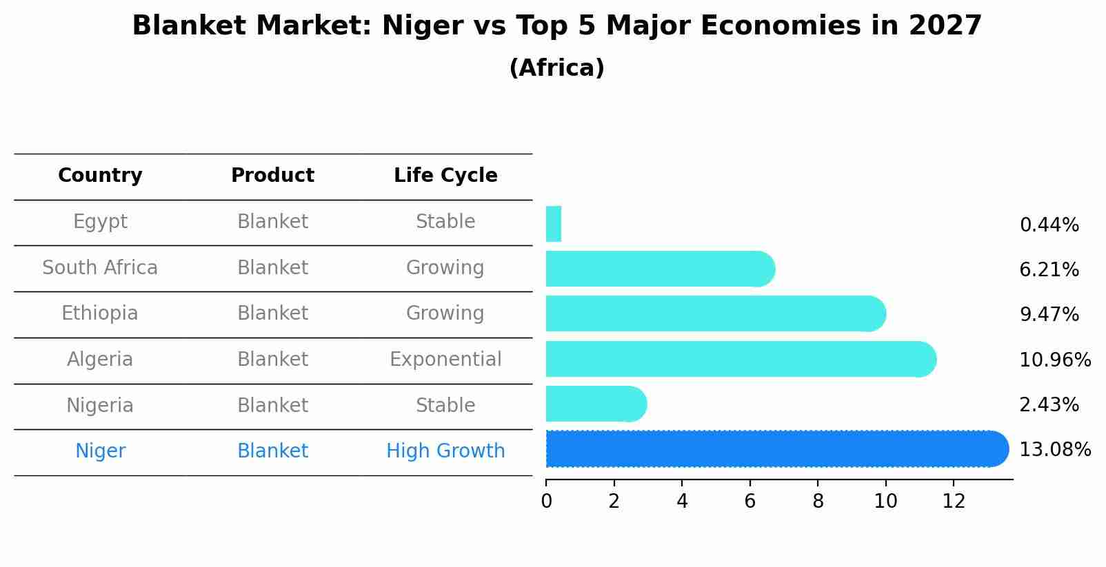 Blanket Market: Niger vs Top 5 Major Economies in 2027 (Africa)
