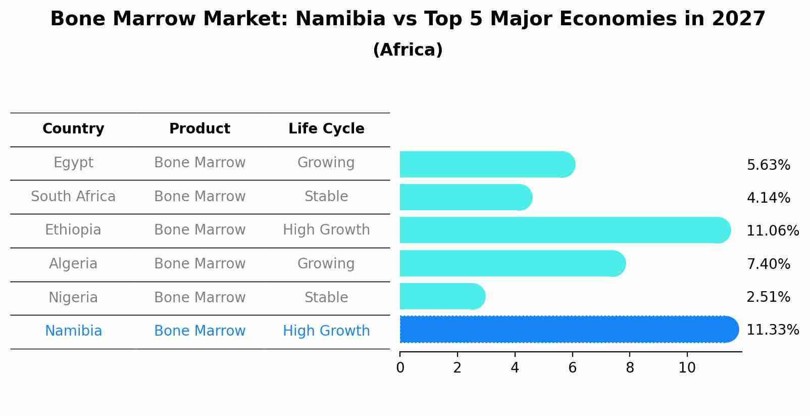 Bone Marrow Market: Namibia vs Top 5 Major Economies in 2027 (Africa)